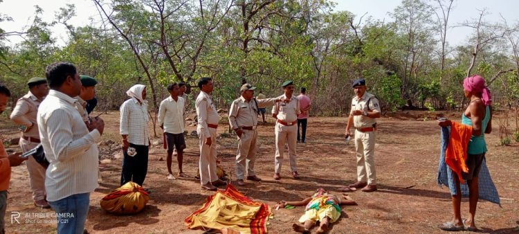 तेंदूपत्ता तोड़ने जंगल गई महिला को हाथी ने मार डाला