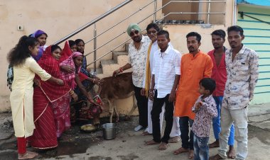 पूर्व पार्षद ने गौ माता को खिलाई गुड़ और खिचड़ी