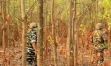 बीजापुर मुठभेड़ में 2 नक्सली ढेर,सर्चिंग में शव और हथियार सहित अन्य आर्म्स एम्युनेशन बरामद