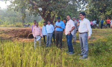 कलेक्टर हरिस एस ने धुर माओवाद प्रभावित अमलीधार में खरीफ धान फसल गिरदावरी का किया निरीक्षण