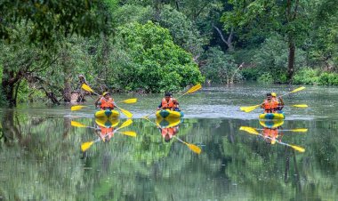 साहसिक पर्यटन के लिए प्रसिद्ध है बस्तर का धुड़मारास गांव,विश्व पर्यटन मानचित्र में बनाई अपनी जगह,पहचान अंतर्राष्ट्रीय स्तर पर स्थापित