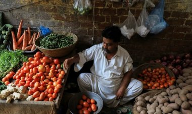 पाकिस्तान में टमाटर के दाम 600 रुपये प्रति किलो, 400% उछाल से आम आदमी परेशान
