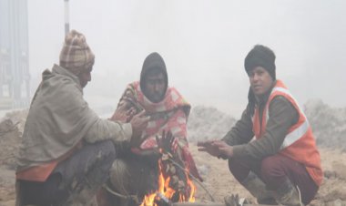 प्रदेश में कोल्ड वेव की दस्तक, चार दिन में चार डिग्री गिरेगा पारा