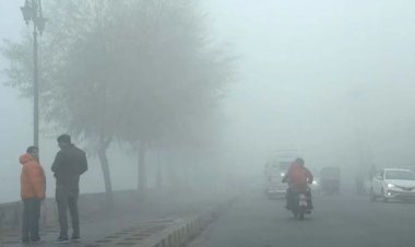 बिलासपुर-रायपुर में शीतलहर के हालात, मैनपाट में जमी ओस की बूंदें