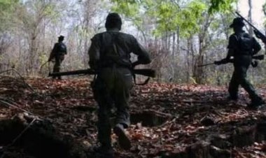 सर्चिंग पर निकली पार्टी पर नक्सलियों ने की फायरिंग, एमपी पुलिस का जवान शहीद