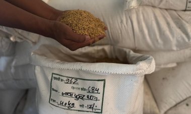 दंतेवाड़ा की जैविक खेती को मिली राष्ट्रीय पहचान,केंद्रीय कृषि मंत्री को पसंद आया ‘जवा फूल चावल’