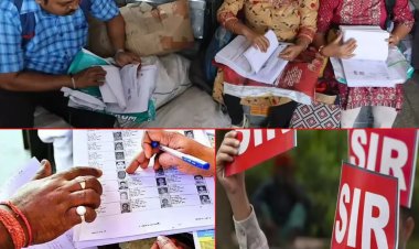 नोएडा में बड़ी कार्रवाई: SIR में लापरवाही पर 130 BLO और 13 सुपरवाइजर पर FIR