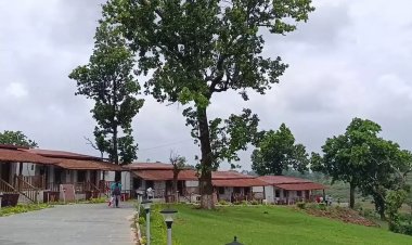 मैनपाट-बस्तर के रिसॉट्र्स को लीज पर देने की तैयारी : टाटा-महिंद्रा जैसी बड़ी कंपनियों ने दिखाई रुचि