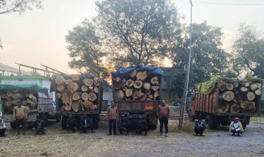 प्रतिबंधित काष्ठों का अवैध परिवहन पकड़ा गया,वन विभाग ने की जब्ती