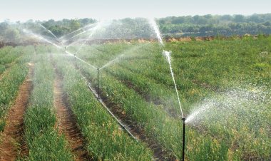 एमपी की तर्ज पर छत्तीसगढ़ में भी होगी ‘प्रेशर इरिगेशन तकनीक’ से सिंचाई