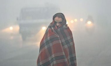 रायपुर का पारा 8 डिग्री प्रदेश में शीतलहर तेज