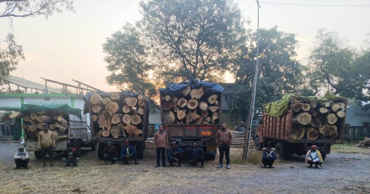 प्रतिबंधित काष्ठों का अवैध परिवहन पकड़ा गया,वन विभाग ने की जब्ती