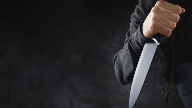 बिलासपुर में पालतू कुत्ते को लेकर खूनी संघर्ष: पड़ोसी ने युवक पर किया चाकू से हमला, गंभीर रूप से घायल