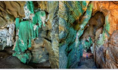 बस्तर का नया रहस्य: कांगेर घाटी में मिली दुर्लभ 'ग्रीन केव'; 26 जनवरी से पर्यटकों के लिए खुलेगा 'हरे पत्थरों' का संसार
