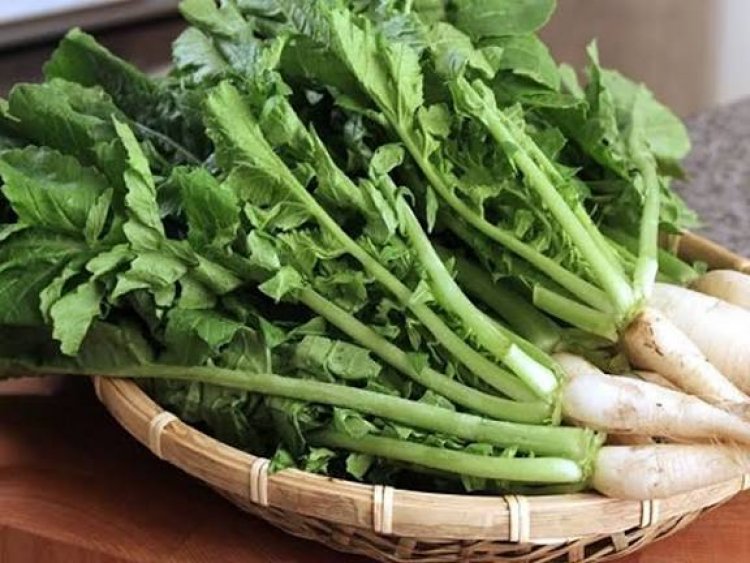 मूली के पत्ते: जिन्हें आप बेकार समझकर फेंक देते हैं, वे औषधीय गुणों का खजाना हैं; जानें इनके बेमिसाल फायदे