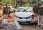 कार में मिला 50 किलो गांजा :  रायपुर में दो तस्कर गिरफ्तार,वाहन के साथ 2 लाख नकद भी जब्त