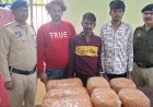 रायपुर में लाखों का गांजा जब्त,तीन अंतर्राज्यीय तस्कर गिरफ्तार
