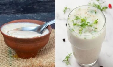दही या छाछ: सेहत के लिए क्या है ज्यादा बेहतर? जानें आयुर्वेद और विज्ञान की राय