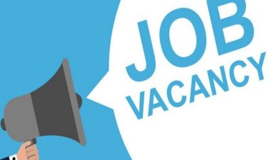 छत्तीसगढ़ के युवाओं के लिए खुशखबरी: प्रदेश के इन जिलों में लगेंगे रोजगार मेले, हजारों पदों पर होगी सीधी भर्ती