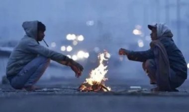 सर्दी की विदाई के संकेत, अब दिन गरम-रातें नरम