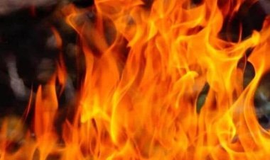 जशपुर: जमीन के लालच में बाप बना जल्लाद, पत्नी और छोटे बेटे के साथ मिलकर बड़े बेटे को पेट्रोल डालकर जिंदा जलाया