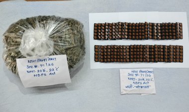 Raipur Crime :  युवक के कब्जे से गांजा और बड़ी संख्या में नशीली गोलियां जब्त