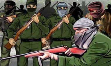 सुरक्षाबलों के रडार पर चार शीर्ष कमांडर समेत 300 नक्सली, नक्सलवाद खात्मे की डेडलाइन करीब