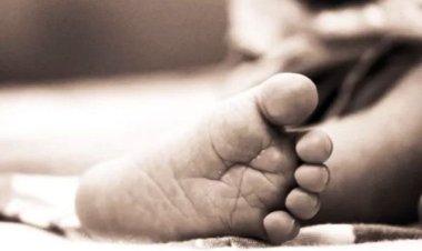 रायगढ़: खेल-खेल में उजड़ गई खुशियां, झूले की रस्सी गले में फंसने से 6 वर्षीय मासूम की मौत