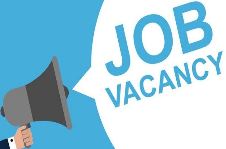 छत्तीसगढ़ के युवाओं के लिए खुशखबरी: प्रदेश के इन जिलों में लगेंगे रोजगार मेले, हजारों पदों पर होगी सीधी भर्ती