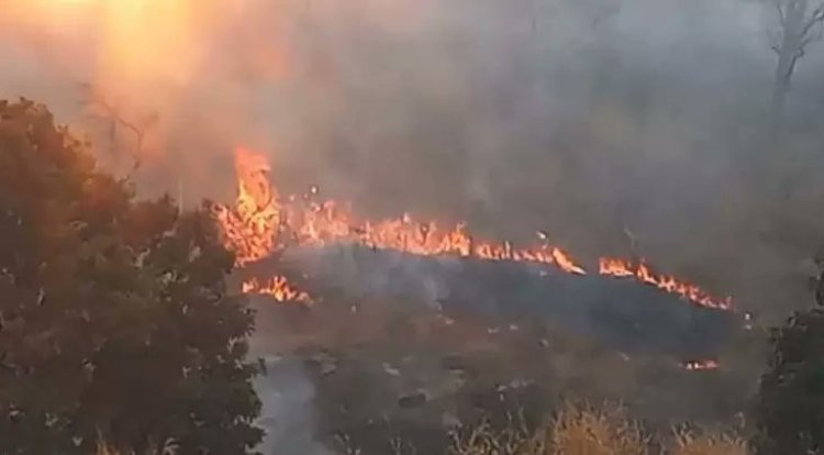 धमतरी में पहाड़ी इलाके में आग