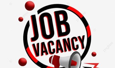 CG Job Alert : बेरोजगारों के लिए सुनहरा मौका! इन जिलों में 'बंपर भर्ती', 650 से ज्यादा पदों के लिए लगेगा प्लेसमेंट कैंप