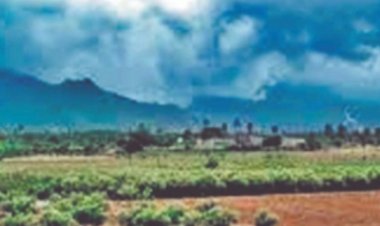 प्रदेश में बिजली गिरने की चेतावनी