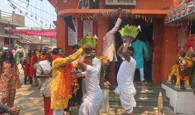 सरपंच हिमांचल साहू की अगुवाई में बोरियाकला में धूमधाम से हुआ जवारा विसर्जन