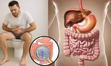 क्या आप भी पुरानी कब्ज से परेशान हैं? अपनी लाइफस्टाइल में करें ये 5 छोटे बदलाव और पाएं पेट की समस्याओं से स्थायी छुटकारा