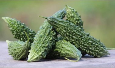 गर्मियों में 'करेला' है किसी वरदान से कम नहीं; डायबिटीज से लेकर पाचन तक, इन 5 बड़ी समस्याओं में देता है तुरंत राहत