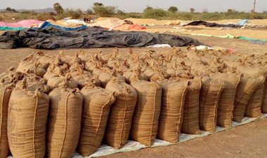 धान खरीदी में 2.54 करोड़ का घोटाला, प्रभारी पर गबन का आरोप, ऑनलाइन एंट्री और स्टॉक में बड़ा अंतर, FIR दर्ज 