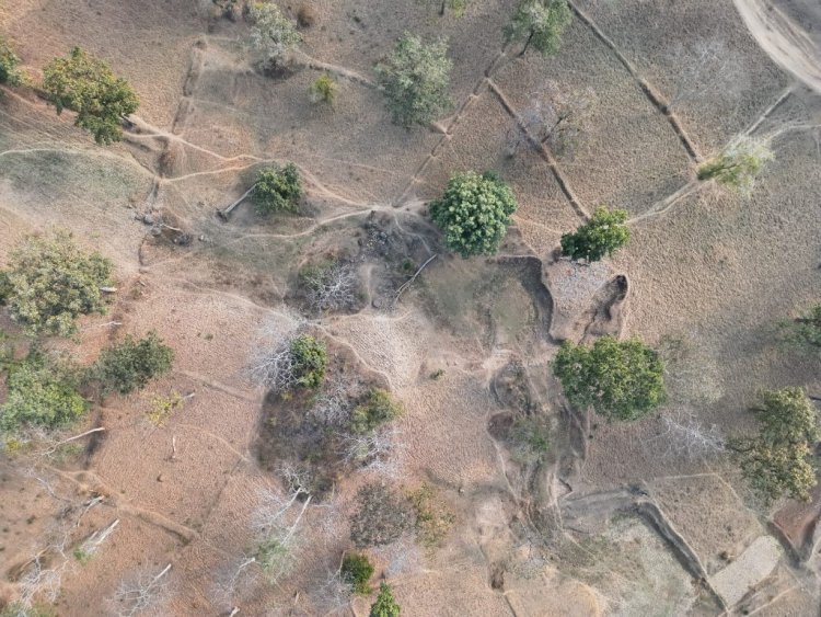 उदंती-सीतानदी टाइगर रिजर्व में बड़ा खुलासा: 106 हेक्टेयर वनभूमि पर कब्जा, कट गए 1 लाख पेड़ 