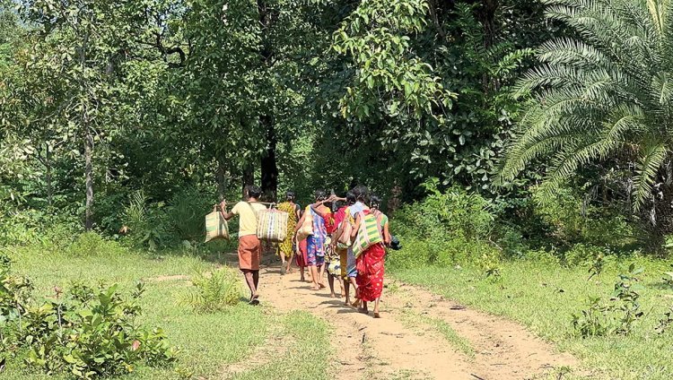 अबूझमाड़ से हटेगा अबूझ का टैग : गुमनाम 497 गांवों का होगा सर्वे