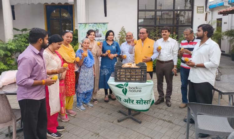 रायपुर में हरियाली बढ़ाने की पहल: ‘आम की गुठलियों का संग्रह’ अभियान शुरू