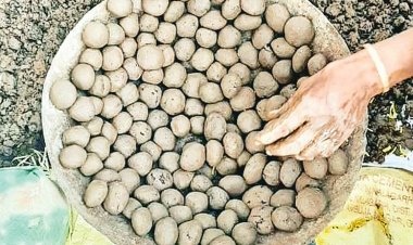 पहाड़ों पर फेंकी जाएंगी ‘सीड बॉल’ : बारिश से पहले बस्तर में बड़ा मिशन