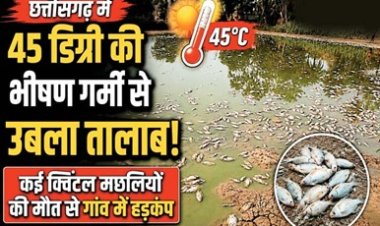 45 डिग्री में उबला तालाब, लाखों मछलियों की मौत