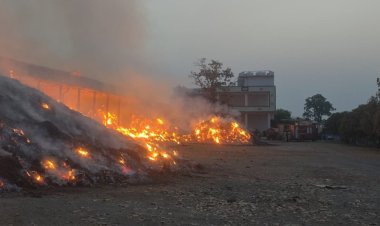 तेंदूपत्ता गोदाम में भीषण आग, 25 हजार बोरे जलकर खाक, करोड़ों का नुकसान