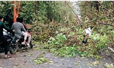 तूफान से थर्राया सुकमा जिला, बस्तर में हाई अलर्ट घोषित