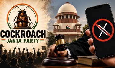 कॉकरोच जनता पार्टी को दिल्ली हाई कोर्ट से झटका, X अकाउंट तुरंत बहाल करने से इनकार; कहा- 'गतिविधियां कुछ आपत्तिजनक'