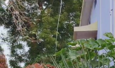 आंगनबाडी भवन के छत की टंकी से हर रोज बह रहा सैकड़ों लीटर पानी