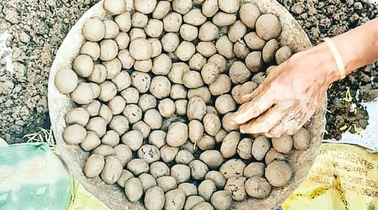 पहाड़ों पर फेंकी जाएंगी ‘सीड बॉल’ : बारिश से पहले बस्तर में बड़ा मिशन