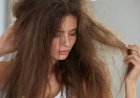 रूखे और बेजान बालों को कहें अलविदा: अपनाएं ये अचूक घरेलू नुस्खे