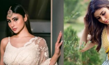 आज से शुरू होगा सीसीपीएल-3 का रोमांच, रायपुर रायनोज और राजनांदगांव पैंथर्स के बीच उद्घाटन मुकाबला