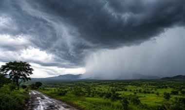 मानसून की दस्तक से बदला मौसम, बिजली गिरने से उप सरपंच समेत 3 की मौत