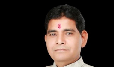 सुशासन तिहार में मिली थी शिकायत,मंत्री टंकराम वर्मा के निर्देश पर पटवारी निलंबित